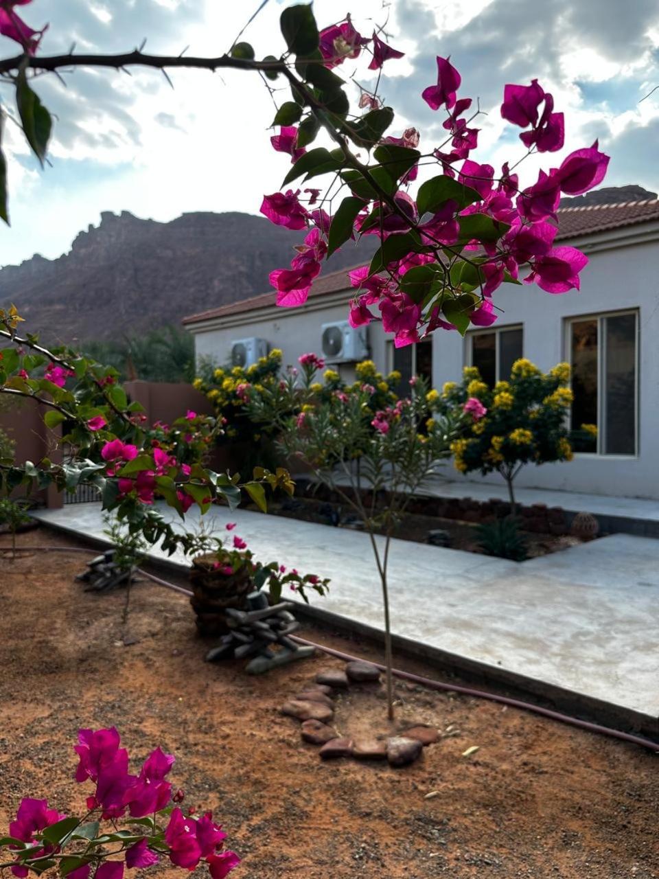 فيلا بمزرعة Al Ula Ngoại thất bức ảnh